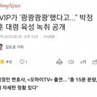'vip가 '쾅쾅쾅쾅' 했다고...' 박정훈 대령 녹취록 공개