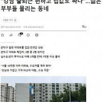 부동산 펌핑 기사에 달린 분노의 댓글