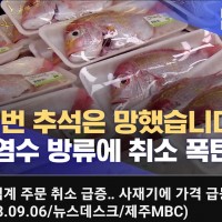 제주MBC ''수산업계 주문 취소 급증''