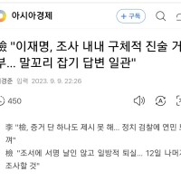 '증거無 언플일관' 檢 '이재명, 말꼬리잡기 답변일관'
