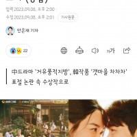 서울드라마 어워즈 동북공정,표절논란 중국드라마 수상논란