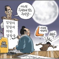 만평] 부메랑으로 돌아온