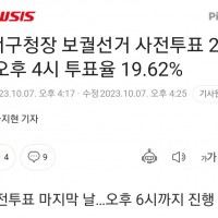 서울 강서구청장, 오후 4시 사전투표율 19.62%