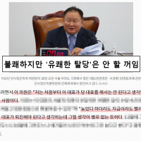 이상민 의원님 '합시다, 유쾌한 탈당'..