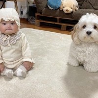 아기와 강아지.jpg
