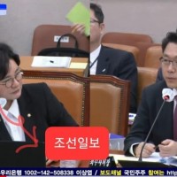 송요훈 기자..국감에서 조선일보의 오보 인용한 조수진