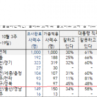 대구경북, 윤석열 잘못하고 있다 48% !!