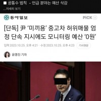 尹 중고차 허위매물 엄정 단속 지시 후 모니터링 예산 ‘0원’