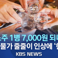 소주 1병 7천원 시대 오나... 식품물가 줄줄이 인상에 '한숨'.news