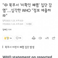 中 북부서 '미확인 폐렴' 집단 감염'…심각한 WHO '정보 제출하라'