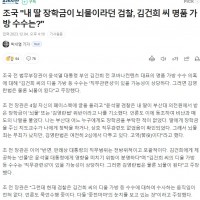 조국 '내 딸 장학금이 뇌물이라던 검찰, 김건희 씨 명품 가방 수수는?'.gisa