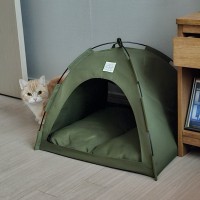 텐트 고양이 고니
