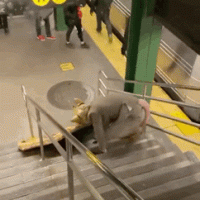 뉴욕 지하철 쥐 근황.gif