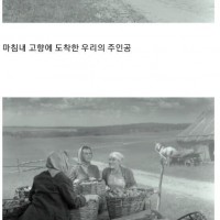 소련의 한 군인이 휴가가는 영화.jpg
