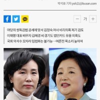 김정숙+김헤경 쌍특검 만지작 발악하는 국짐당