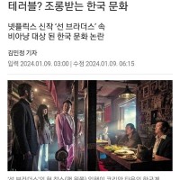 한국비하로 논란인 넷플기사 반박글.jpg