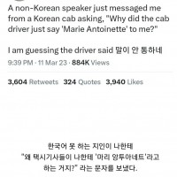 펌) 왜 한국 택시기사들은 나를 '마리 앙투아네트'라고 부르는 거지??