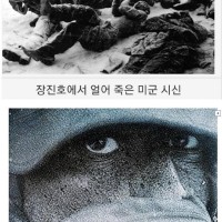 한국전쟁 장진호에서 얼어붙어 가는 미군 사진