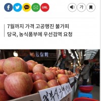 윤석열 정부, 일본산 사과 수입 검토.jpg