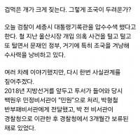 조국혁신당 페북...신장식 대변인 논평, '그렇게 조국…