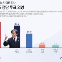 조국혁신당 지지율 30% 첫 돌파.jpg