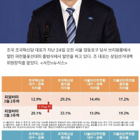 조국혁신당, 중도층 비례 지지율 33.1% .jpg