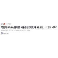 국힘에 57.5% 몰아준 서울민심 3년만에 46.3%…11.2% '추락'