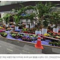 [단독] 삼성전자, 노조 집회장소에 ‘꽃밭’ 조성…“이…