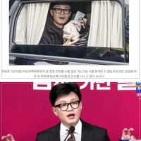 '조국 감당못해..역량 떨어져' 한동훈 혹평하는 신평.…