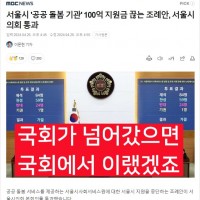 서울시 '공공 돌봄 기관' 100억 지원금 끊는 조례안…