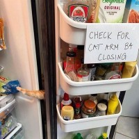 냉장고 안에 붙은 경고문