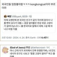 세계에 퍼졌다는 꽁꽁 얼어붙은 한강 위로 고양이 밈