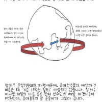 시끄러운 와중에 '대한 승마 협회' 회장 인스타...jpg