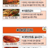 맛있다고 소문난 사먹는 김치들 추천