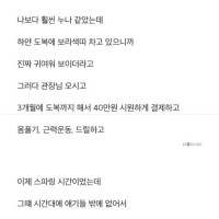 꼭 주짓수를 배워야 하는 이유