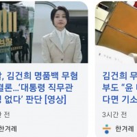 김건희 디올백 무혐의 내린 이유가