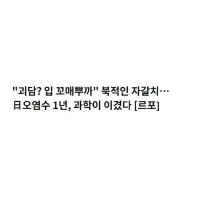 우리가 남이가의 근황