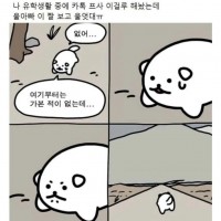 아빠 울린 짤