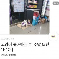 고양이 좋아하는 사람 뽑는 편의점