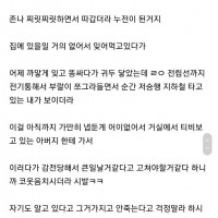 누전된 비데 사용하다 저승갈뻔한 썰...