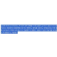 검찰의 김건희 불기소 이유