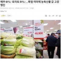 한국인은 맨날 김치만 먹어? 라는 질문에 이제는 아니라고 할 수 있다