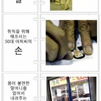 한국을 울린 몇 장의 사진