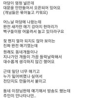 모르는 개가 들어왔다....