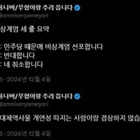 비상 계엄을 바라보는 어느 웹소설 작가