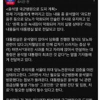 윤석열 도피계획