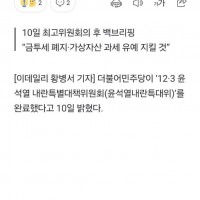 내란 특대위 조사단장에 추미애