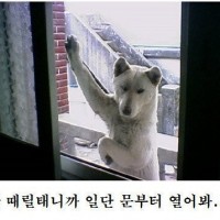 내란의 힘 이만희가 대단한 이유