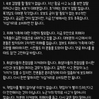 항공사고 전문 유튜버 발언