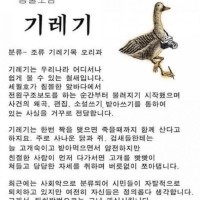 인류 최악의 조류